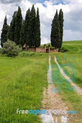 Rural Cementery In Val D'orcia Stock Photo
