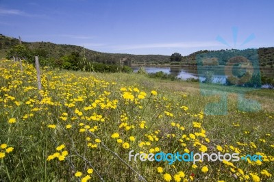 Rural Countryside Algarve View Stock Photo