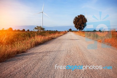 Rural Road In Fields Stock Photo