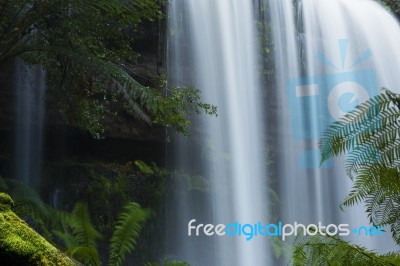 Russel Falls In Mount Field National Park Stock Photo