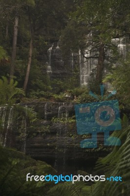 Russell Falls In Mount Field National Park Stock Photo