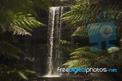 Russell Falls In Mount Field National Park Stock Photo