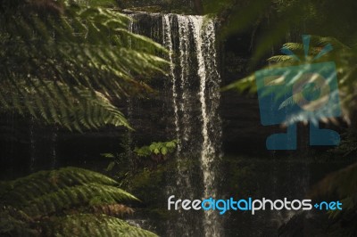 Russell Falls In Mount Field National Park Stock Photo