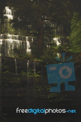 Russell Falls In Mount Field National Park Stock Photo