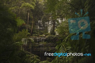 Russell Falls In Mount Field National Park Stock Photo
