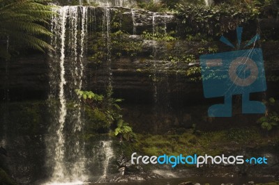 Russell Falls In Mount Field National Park Stock Photo