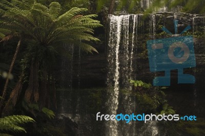 Russell Falls In Mount Field National Park Stock Photo