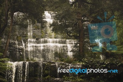 Russell Falls In Mount Field National Park Stock Photo