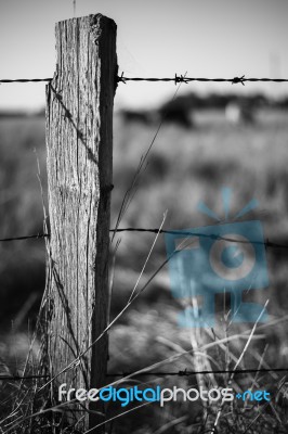 Rusted Sharp Timber And Metal Barb Wire Fence Stock Photo Rusted Sharp Timber And Metal Barb Wire Fence Stock Photo