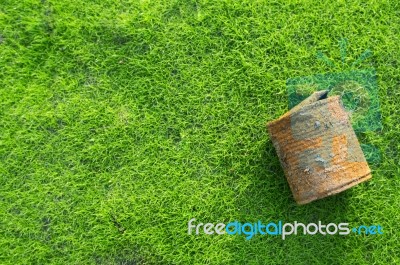 Rusty Can On Green Grass Stock Photo