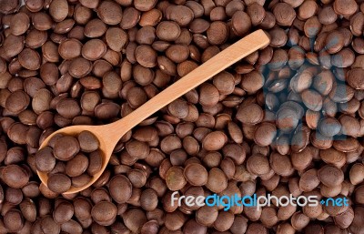Sacha Inchi Peanut Seed With Wooden Spoon Stock Photo