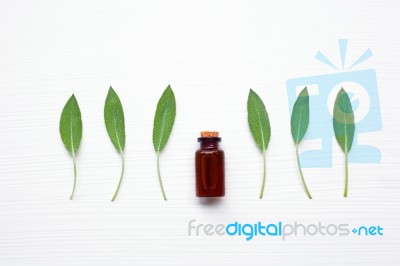 Sage Essential Oil With Sage Leaves On White Stock Photo
