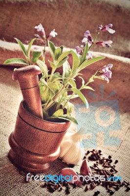 Sage In Wooden Mortar, Garlic, Pepper And Cloves On Sackcloth Stock Photo