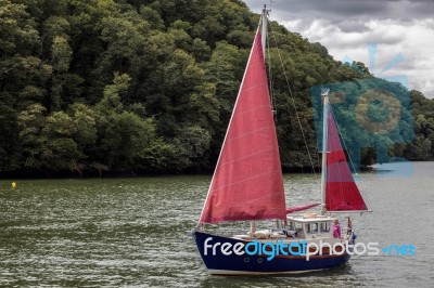 Sailing Up The River Dart Stock Photo