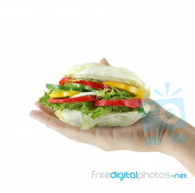 Salad Burger Stock Photo