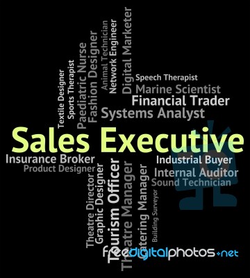 Sales Executive Means Senior Administrator And Career Stock Image