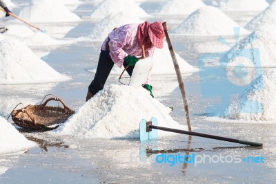 Saline In Samutsakorn Stock Photo