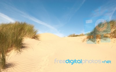Sand Dune With Ripples And Grass Stock Photo