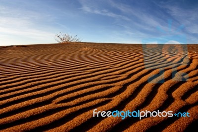 Sand Dunes Stock Photo