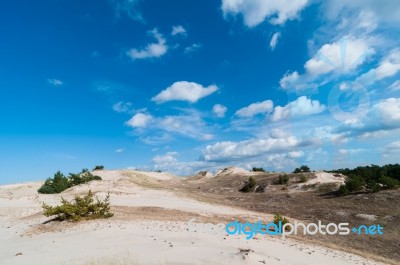 Sand Dunes And Grass Vegetation Background Stock Photo
