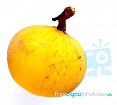 Santol Stock Photo