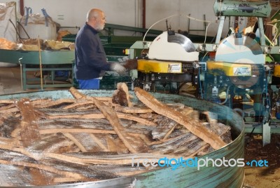 Sao Bras De Alportel, Algarve/portugal - March 9 : Cork Factory Stock Photo