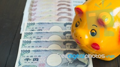 Saving Money By Piggy Bank. Piggy Bank , Yellow Pig Piggy Bank.,… Stock Photo