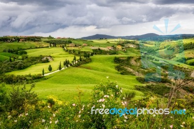 Scenery Of Val D'orcia In Tuscany Stock Photo