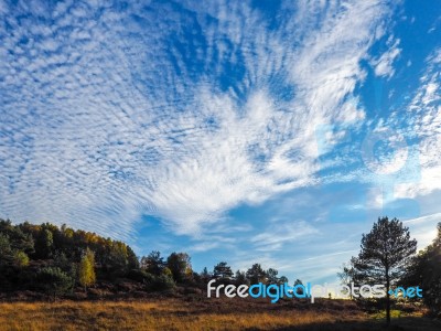 Scenic View Of The Ashdown Forest In Sussex Stock Photo