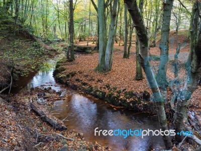 Scenic View Of The Ashdown Forest In Sussex Stock Photo