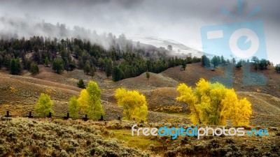 Scenic View Of The Countryside In Yellowstone National Park Stock Photo