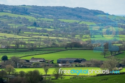 Scenic View Of The Undulating Countryside Of Somerset Stock Photo