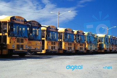 School Bus Stock Photo