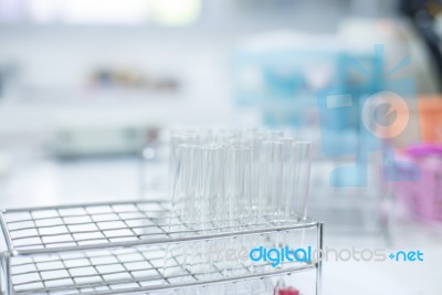 Science Laboratory Test Tubes  Laboratory Equipment Stock Photo