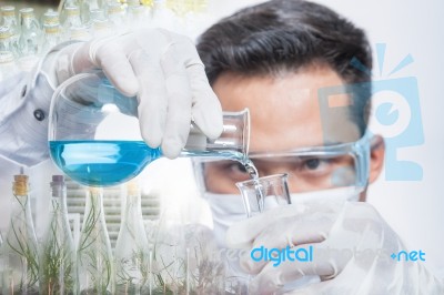 Scientists Are Experimenting Stock Photo