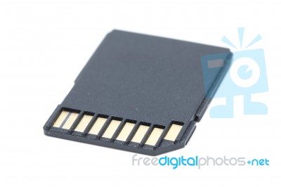 Sd Card On A White Background Stock Photo