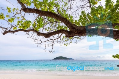 Sea And Beach Of Similan Island In Thailand Stock Photo