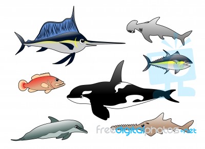 Sea Animals Stock Image