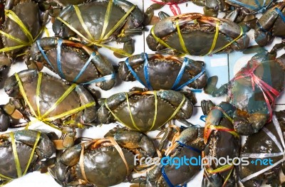 Sea Crabs Stock Photo