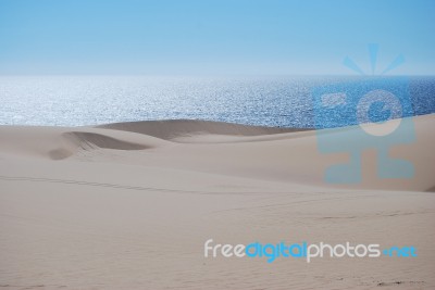Sea Dune Stock Photo