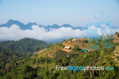 Sea Of Mist  At Mae Moei Stock Photo