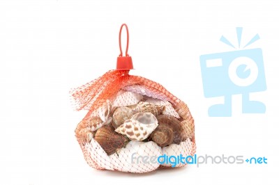 Sea Shell In Red Net On White Background Stock Photo