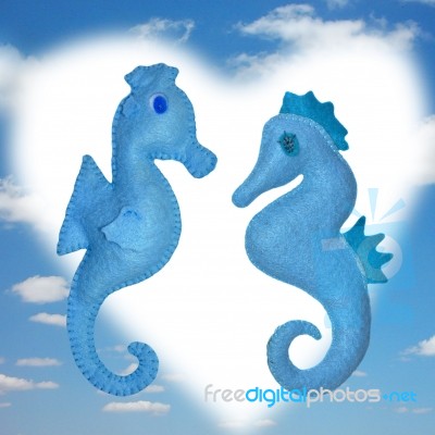 Seahorses Stock Photo