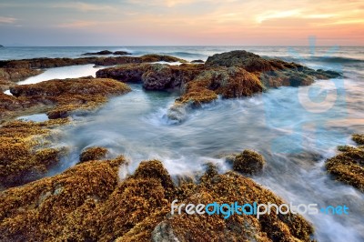Seascape Stock Photo