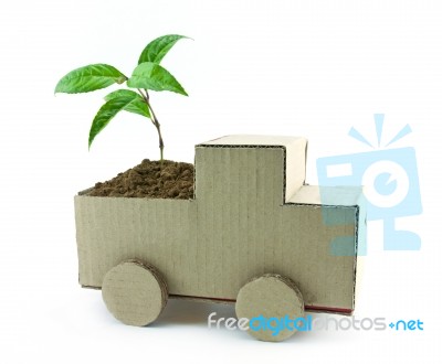 Seedling In Car Stock Photo