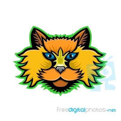Selkirk Rex Cat Mascot Stock Image