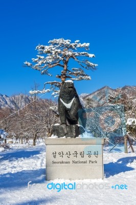 Seoraksan, Korea - February 7: Seoraksan National Park In Winter Location On Gangwon, South Korea On February 7, 2016 Stock Photo