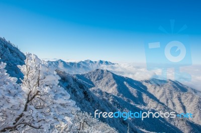 Seoraksan Mountains Is Covered By Morning Fog In Winter, Korea Stock Photo