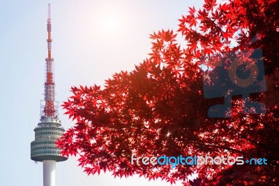 Seoul Tower And Red Autumn Maple Leaves At Namsan Mountain In South Korea Stock Photo