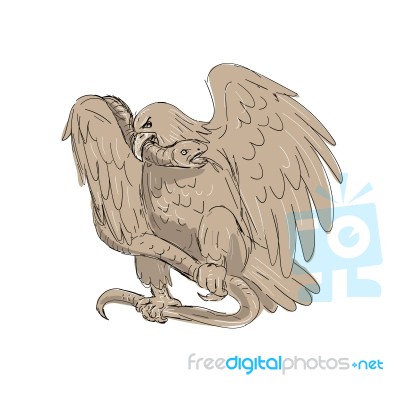 Serpent In Clutches Of Eagle Drawing Stock Image